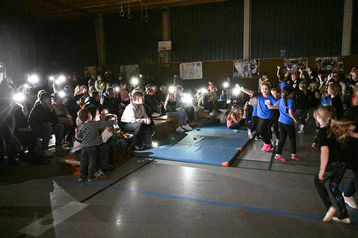 Beim Schlusslied war die Wienbrede-Turnhalle nur durch die Handy-Lampen der Zuschauer erleuchtet. Foto: MSW